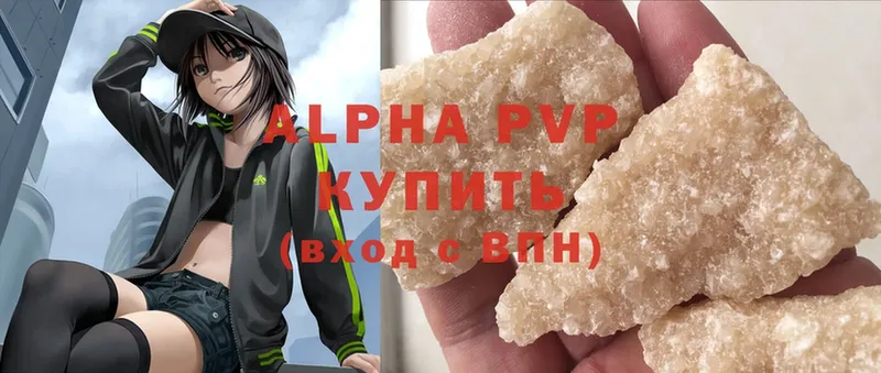 Alfa_PVP СК Высоцк